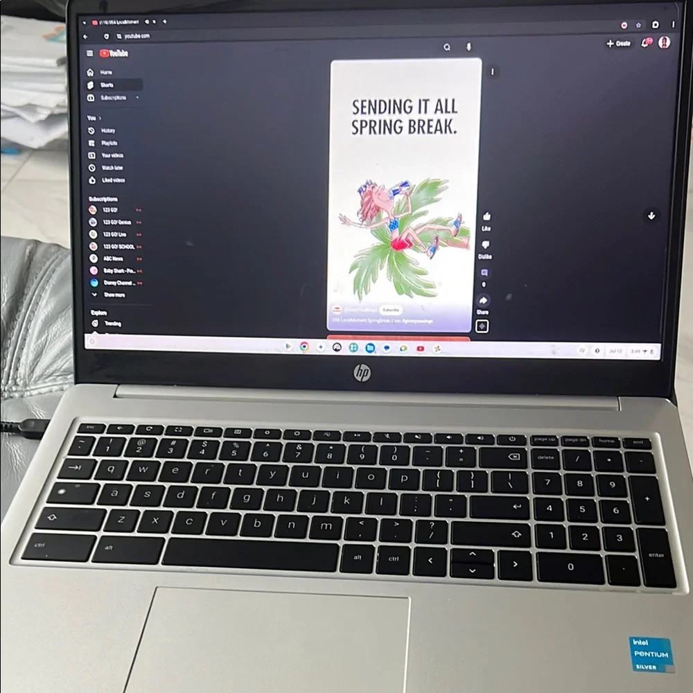 HP Chromebook Silver and Blue Laptop